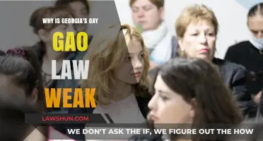 Georgia's Pay Gap Law: Weaknesses and Their Impact on Equality