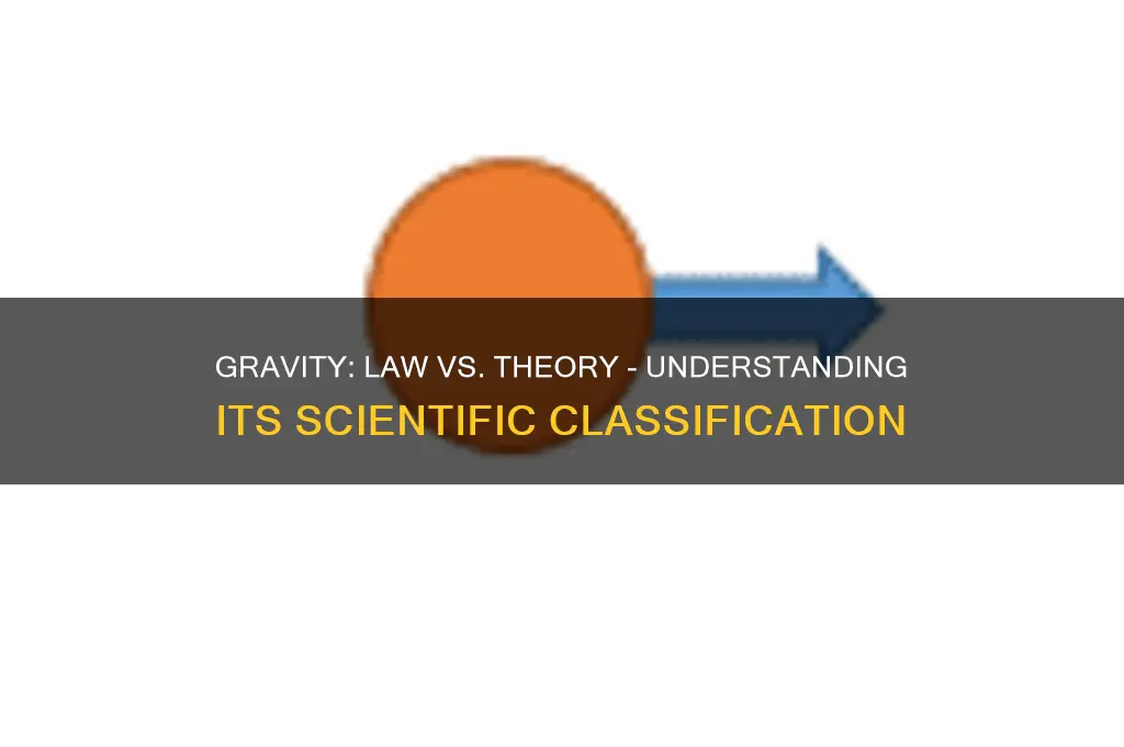 why is gravity considered a law and not a theory