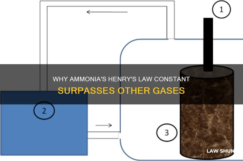 why is henrys law constant greater for ammonia than others
