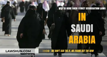 Understanding Saudi Arabia's Strict Segregation Laws: Origins and Impact