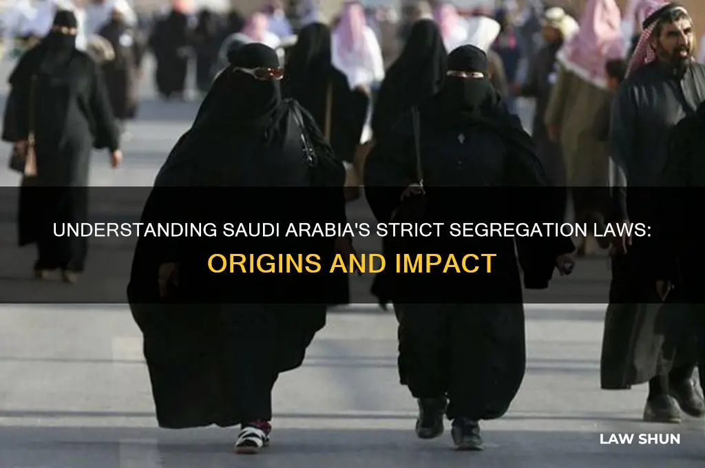 why is here such strict segregation laws in saudi arabia