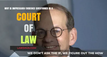 Challenging Impression Evidence: Reliability Concerns in Legal Proceedings