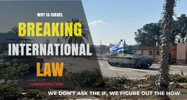 Israel's Actions: Violating International Law and the Impact on Global Peace