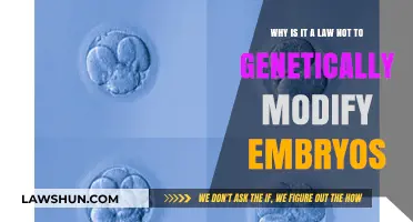 Genetically Modified Embryos: Ethical, Legal, and Scientific Boundaries Explored