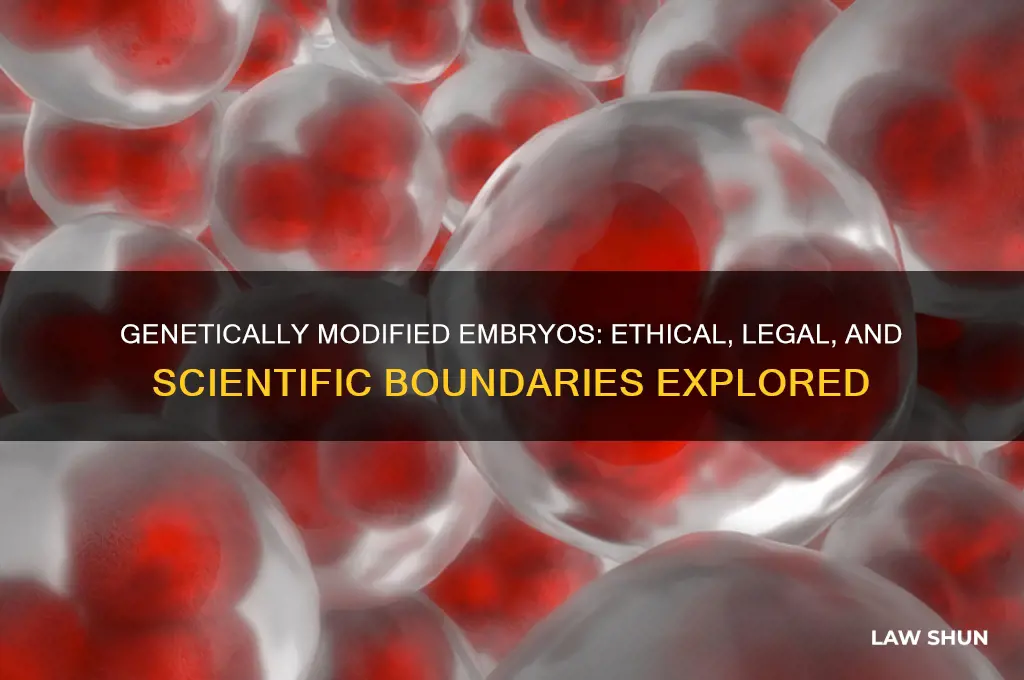why is it a law not to genetically modify embryos