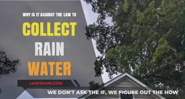 Is Rainwater Harvesting Illegal? Understanding Water Rights and Restrictions