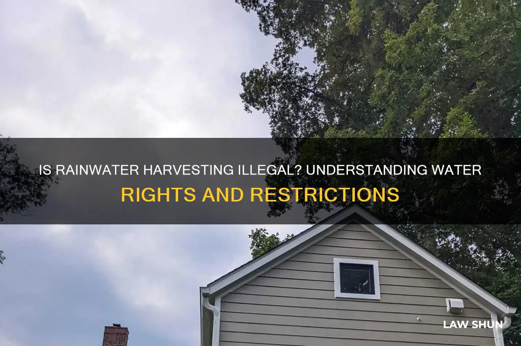 why is it against the law to collect rain water