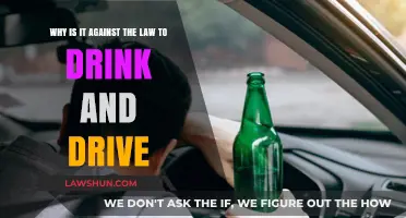 Drinking and Driving: Legal Consequences and Public Safety Risks Explained
