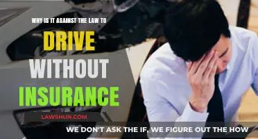 Driving Uninsured: Legal Consequences and Risks Explained