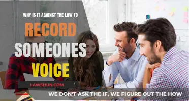 Recording Voices: Legal Boundaries and Privacy Protections Explained