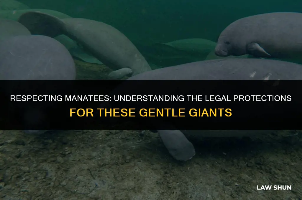 why is it against the law to touch a manatee