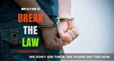 The Consequences of Breaking the Law: A Moral and Legal Perspective