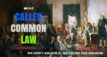 Common Law: A Shared History and Legal Legacy