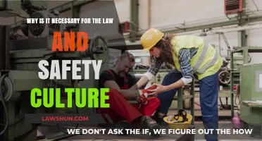 Why a Robust Law and Safety Culture is Indispensable