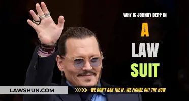 Johnny Depp's Legal Battle: Unraveling the Reasons Behind the Lawsuit