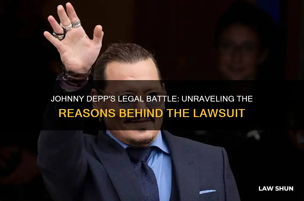 why is johnny depp in a law suit