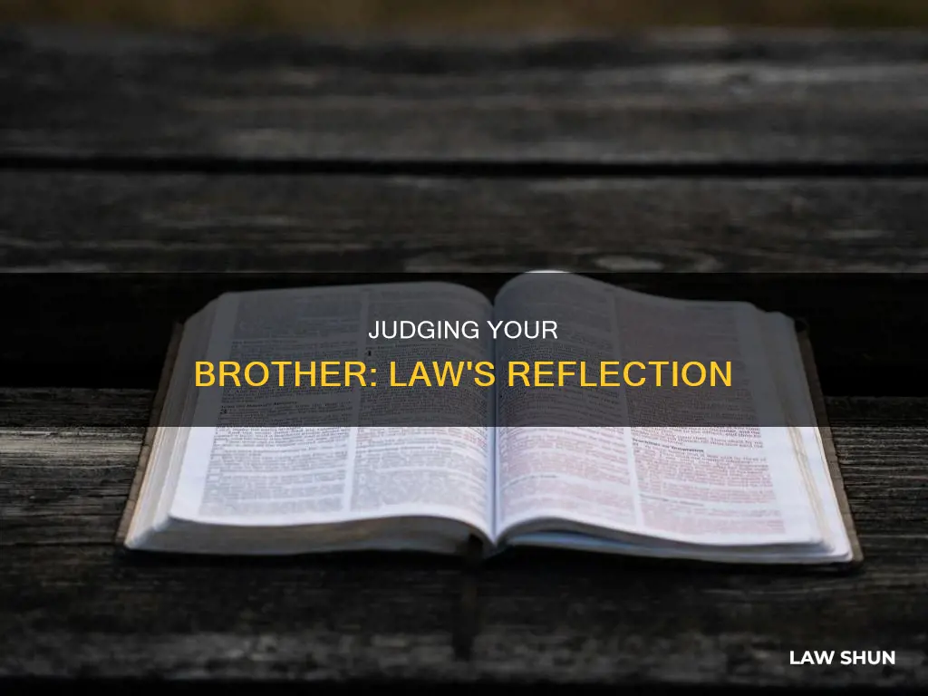 why is judging your brother judging the law