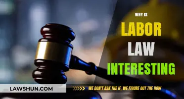 Exploring Labor Law: Unveiling Its Intriguing Relevance and Impact Today