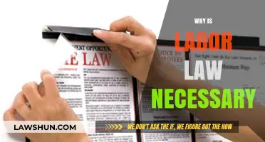 Why Labor Law is Essential for Fair Workplaces and Economies