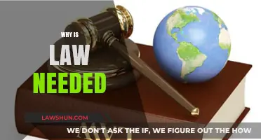 The Essential Role of Law in Society: Why It Matters