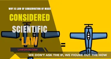 Understanding the Law of Conservation of Mass: A Scientific Law Explained