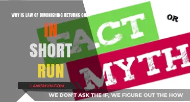 Debunking the Myth: Diminishing Returns Aren't Just Short-Term