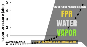 Understanding the Vital Role of Dalton's Law in Water Vapor Behavior