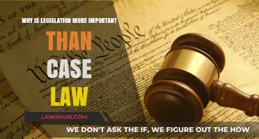 Legislation vs Case Law: Why Statutes Reign Supreme