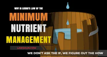 Optimizing Crop Yields: The Science Behind Liebig's Law of the Minimum