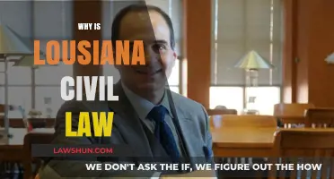 Louisiana's Unique Civil Law System: Origins, Influence, and Modern Relevance