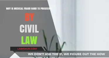 Challenges in Prosecuting Medical Fraud Through Civil Law: Key Obstacles Explained