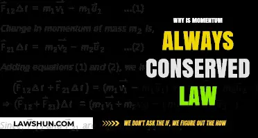 Why Momentum Conservation is a Fundamental Law of Physics