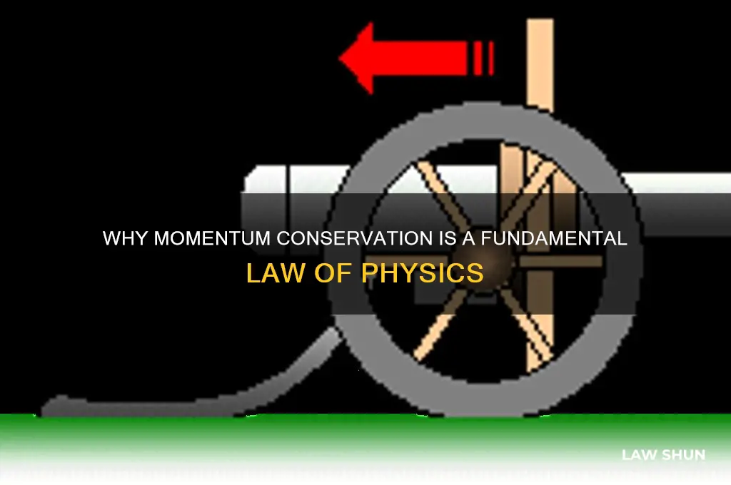 why is momentum always conserved law