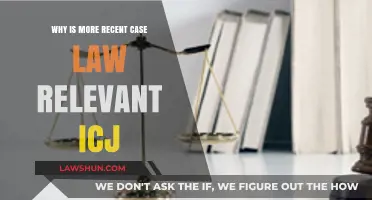 Recent Case Law: ICJ's Relevance Today