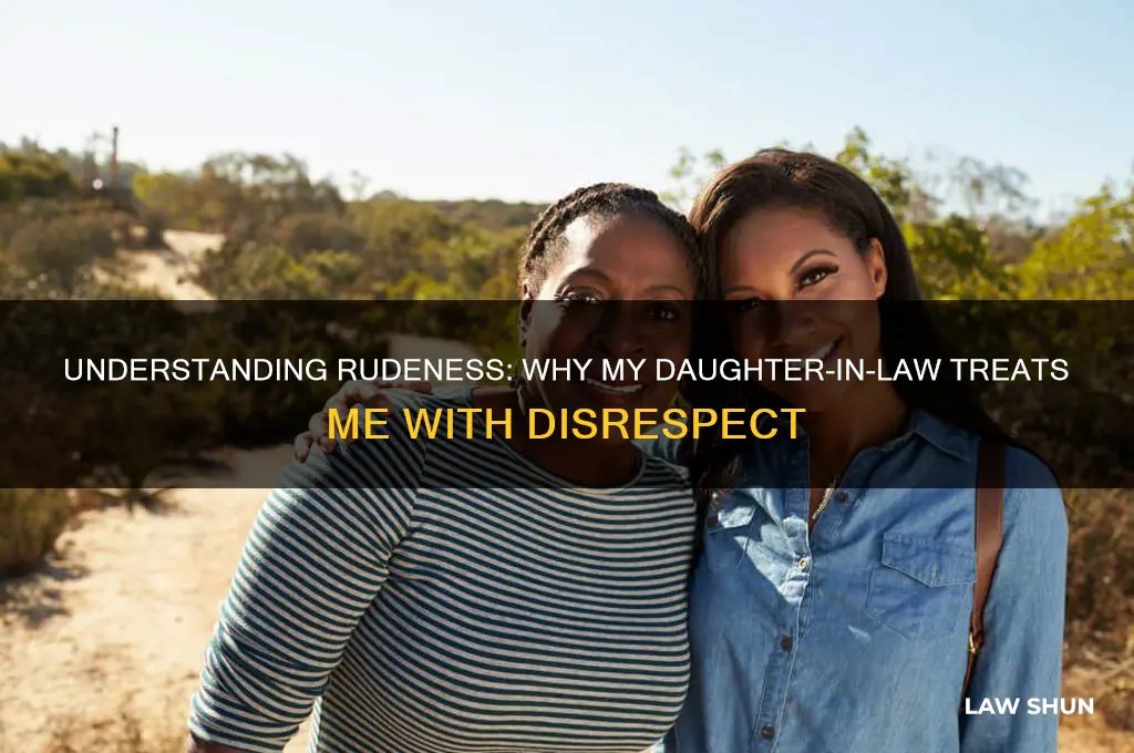 why is my daughter in law so rude to me