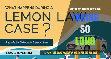 Lemon Law Cases: Why the Delay?