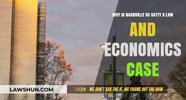 Nashville vs. Satty: Economics, Law, and the Case's Impact