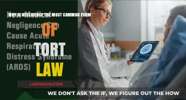 Negligence: The Most Common Tort Law Type Explained