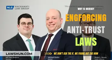 Why Are Anti-Trust Laws Being Ignored in Modern Markets?