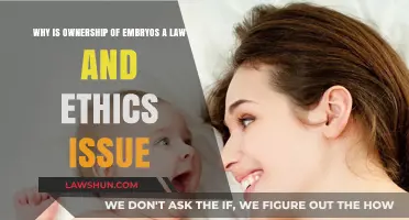 The Complex Intersection of Law and Ethics in Embryo Ownership