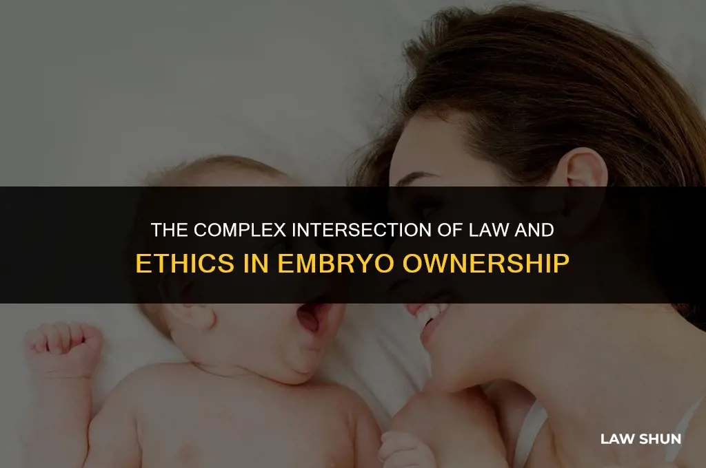 why is ownership of embryos a law and ethics issue