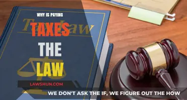 Tax Compliance: A Legal Obligation for Citizens