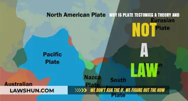 Exploring the Dynamics of Plate Tectonics: Theory vs. Law