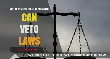 Veto Power: A Necessary Check and Balance