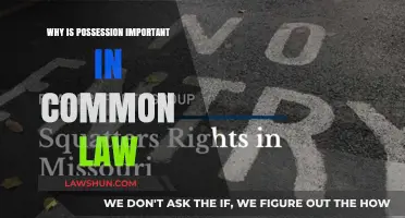 Possession: The Core of Common Law