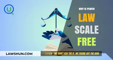 Understanding Power Law Scale-Free Networks: A Comprehensive Exploration