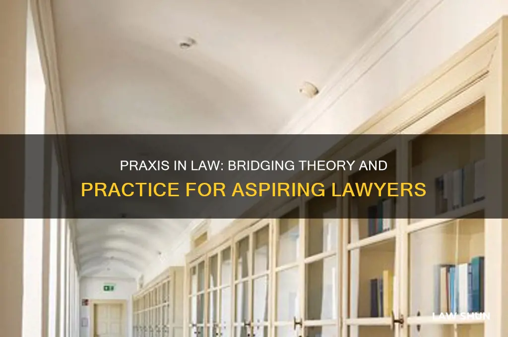 why is praxis relevant to law students
