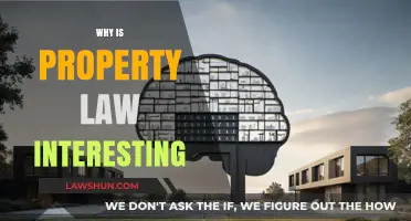 Exploring the Fascinating World of Property Law: Why It Matters