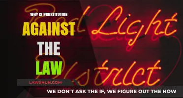 Understanding the Legal Stance: Why Prostitution Remains Illegal