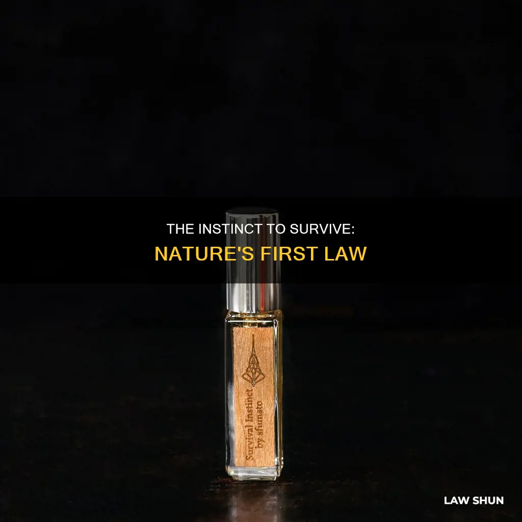 why is self-preservation is the first law ofnature